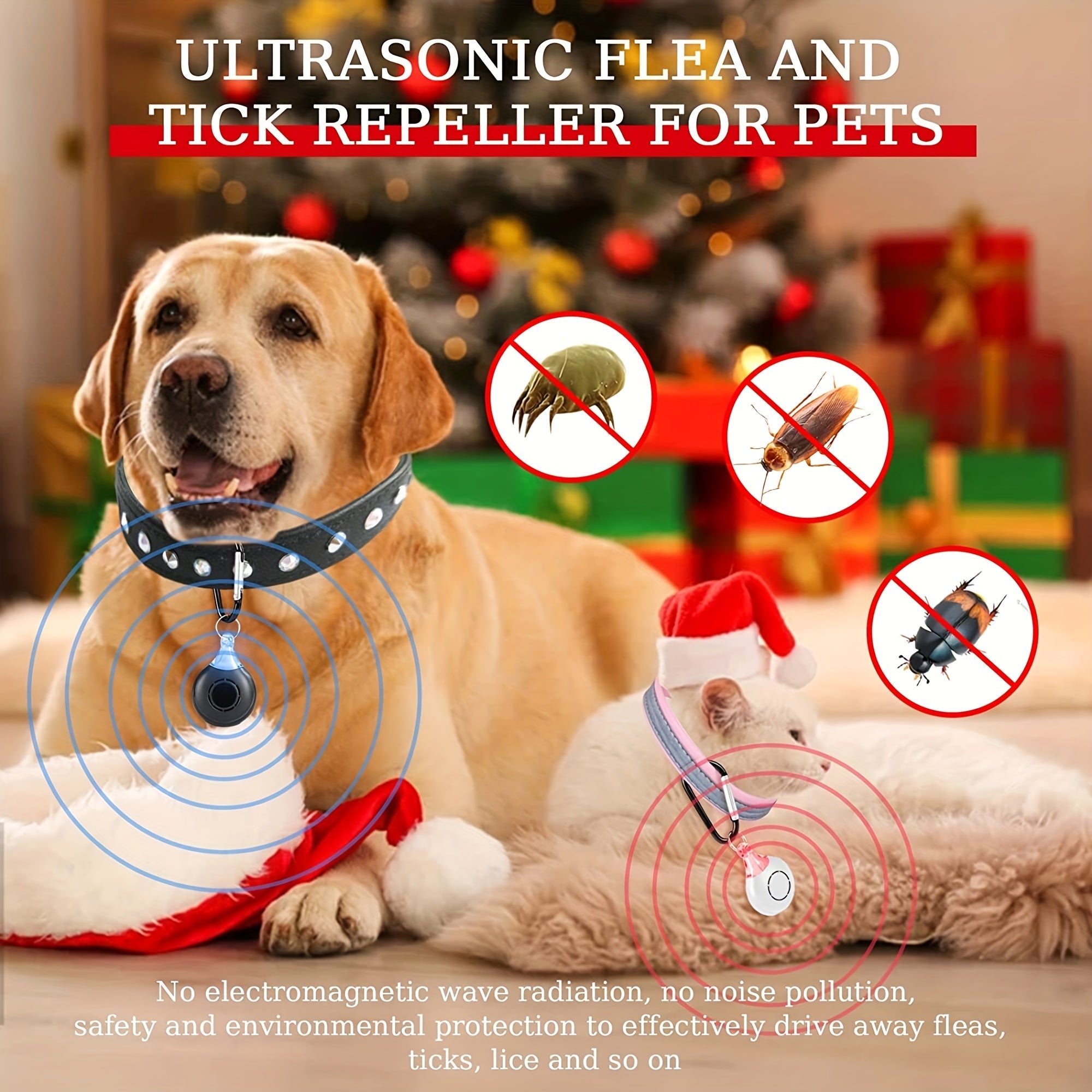 Pet Health & Wellness