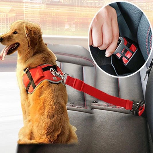 Pet Car Seat Belt Car Retractable Hand Holding Rope - Paws & Whiskers
