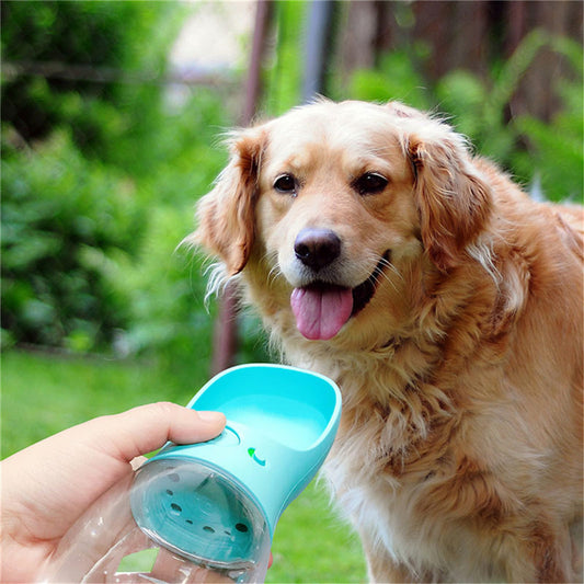 Pet Water Cup Outdoor Portable Water Bottle - Paws & Whiskers