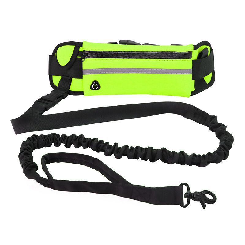 Pet Purse Leash For Dog Walking - Paws & Whiskers
