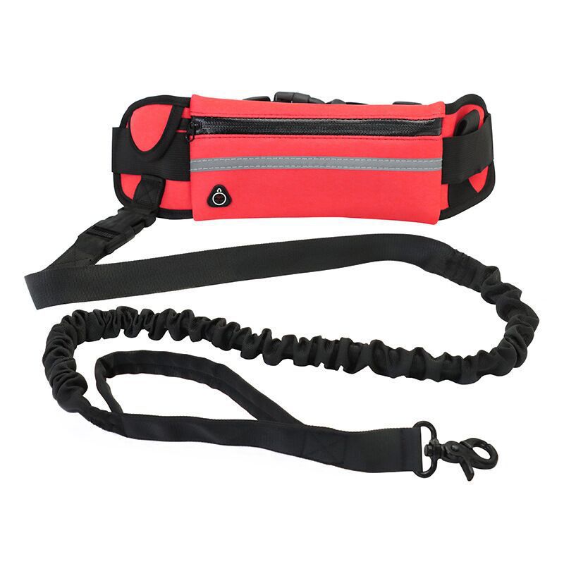 Pet Purse Leash For Dog Walking - Paws & Whiskers