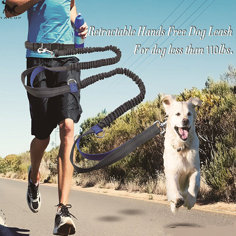 Elastic Reflective Dog Leash for Runners- Hands-Free & Versatile