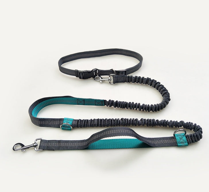 Elastic Reflective Dog Leash for Runners- Hands-Free & Versatile