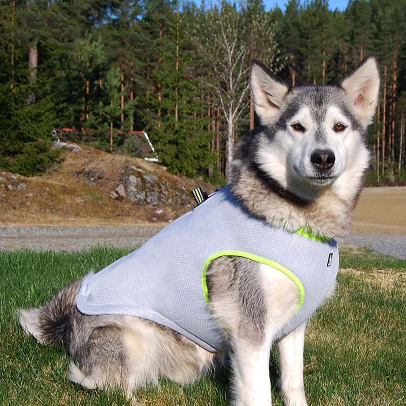 CoolGrip™ Summer Dog Harness & Cooling Vest