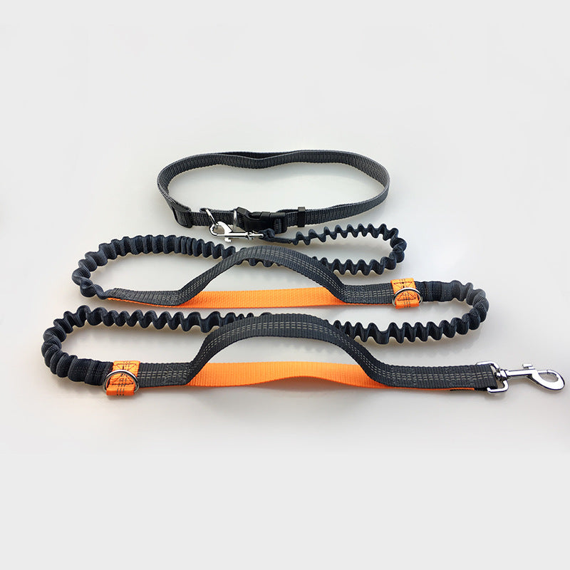 Elastic Reflective Dog Leash for Runners- Hands-Free & Versatile