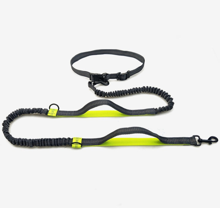 Elastic Reflective Dog Leash for Runners- Hands-Free & Versatile