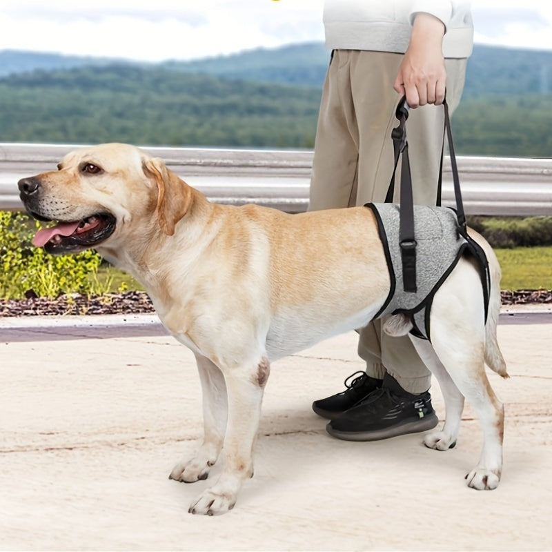 Lift Harness for Elderly or Injured Dogs