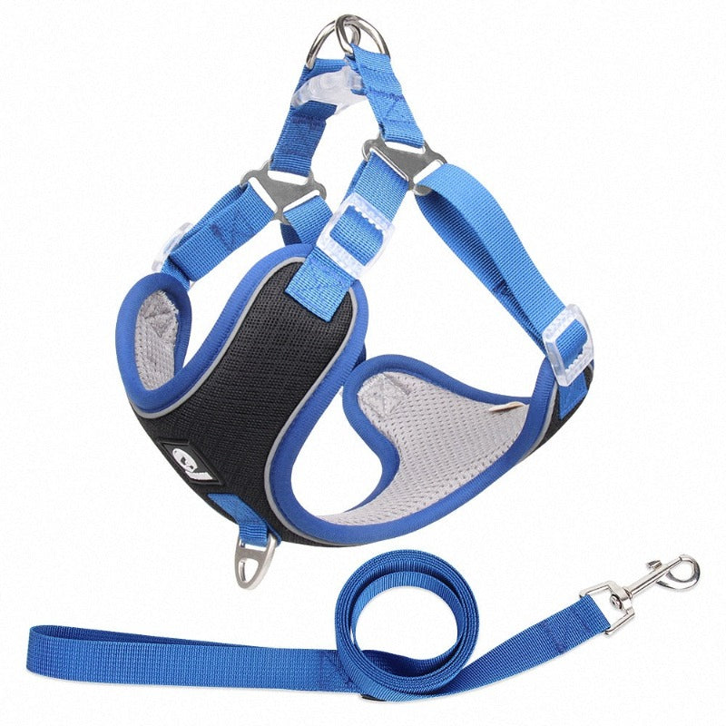 Breathable Pet Harness Adjustable Leash - Paws & Whiskers
