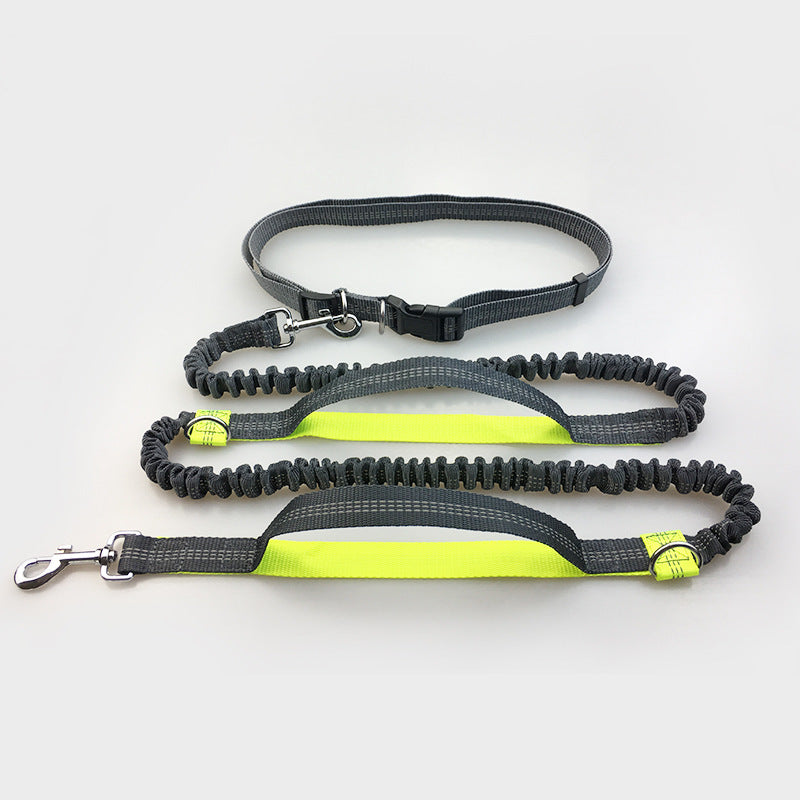 Elastic Reflective Dog Leash for Runners- Hands-Free & Versatile