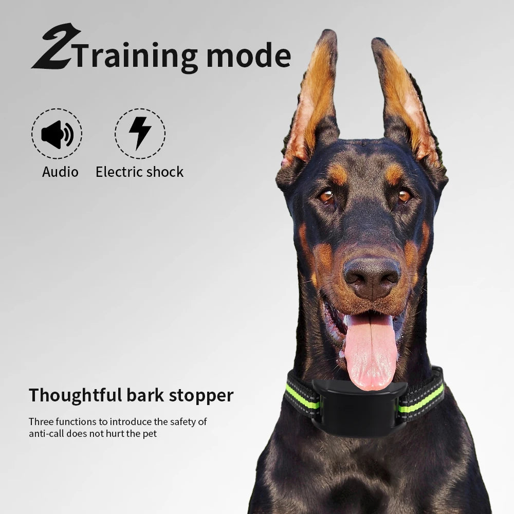 Smart Anti-Bark Collar – Custom Feedback for Quieter Walks