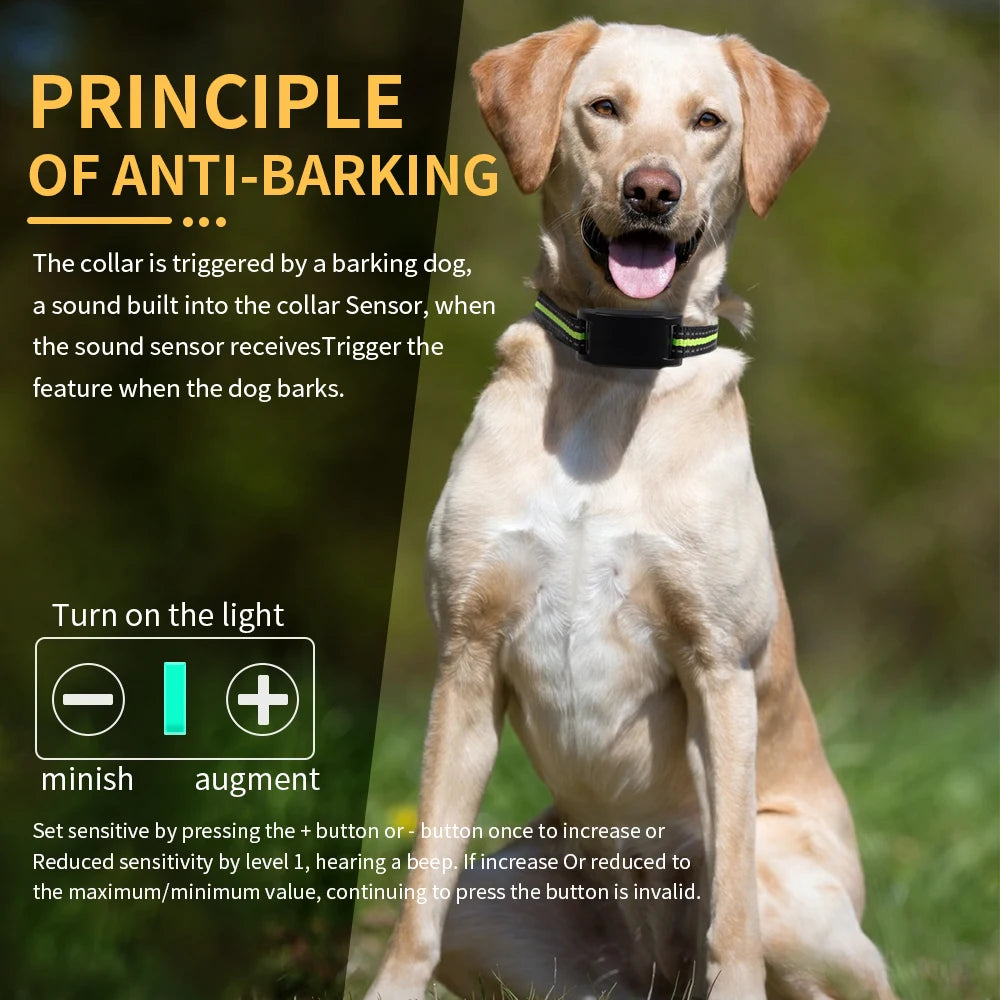 Smart Anti-Bark Collar – Custom Feedback for Quieter Walks