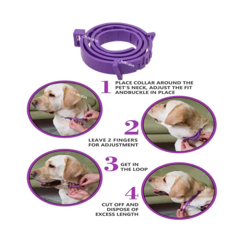 CalmPaws™ Adaptive Pheromone Collar — Stress Relief for Dogs & Cats