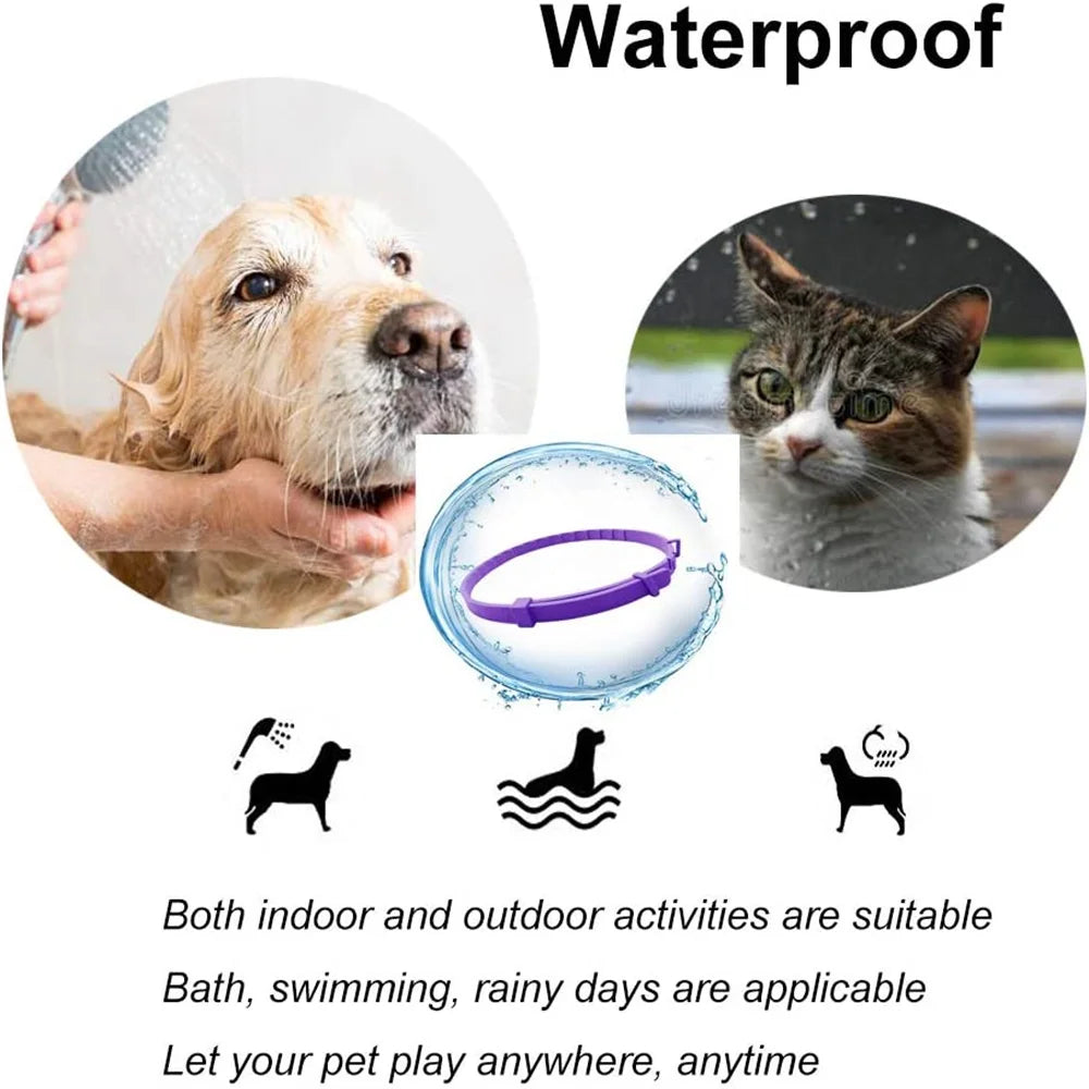 CalmPaws™ Adaptive Pheromone Collar — Stress Relief for Dogs & Cats